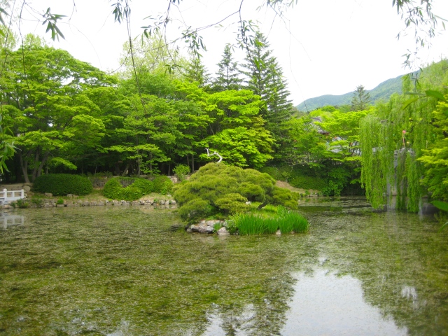 a pond at the entrance to Bulguksa Temple