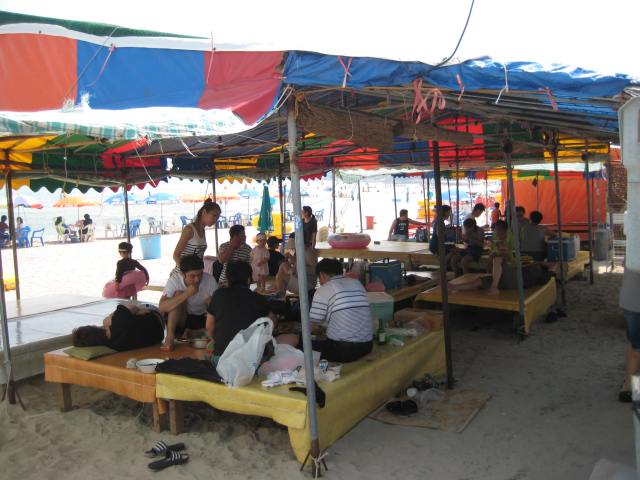 Koreans eating lunch on platforms at the beach