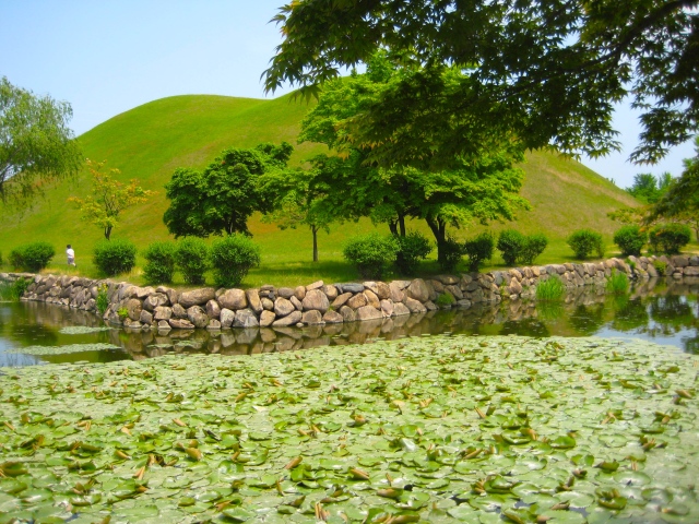 pond at Tumuli in Hwangnam-ri